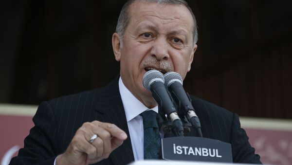 اردوغان: تصمیم امریکا برای پایان دادن کمک به مردم شمال غربی سوریه متناقض است - اسپوتنیک افغانستان  