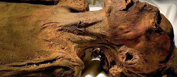 کشف آرامگاه فرمانده نیروهای فرعون کشف آرامگاه فرمانده نیروهای فرعون - اسپوتنیک افغانستان