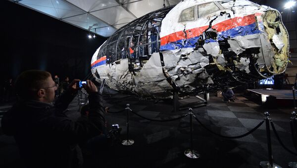 اتهامات مبنی بر دخالت روسیه در سقوط طیاره مالیزیایی بی اساس خوانده شد - اسپوتنیک افغانستان  