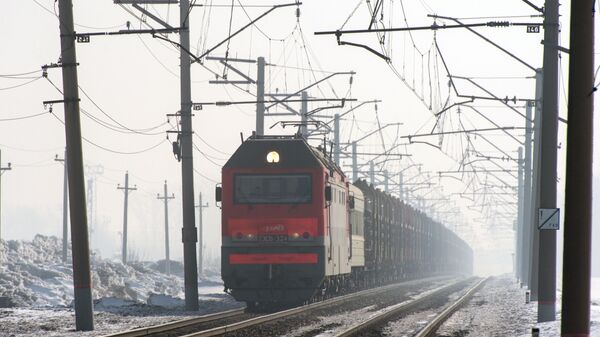 Грузовой поезд следует по одному из ответвлений Транссибирской железнодорожной магистрали в Новосибирской области - اسپوتنیک افغانستان  