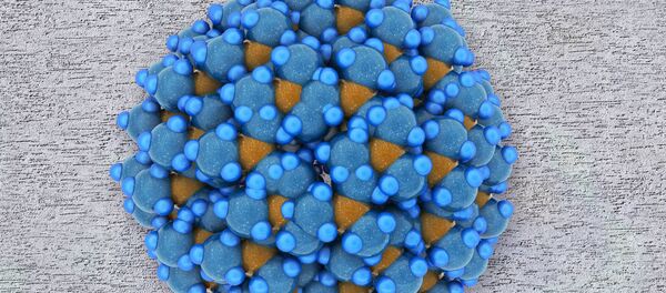 کشنده ترین ویروس جهان ثبت شد کشنده ترین ویروس جهان ثبت شد - اسپوتنیک افغانستان