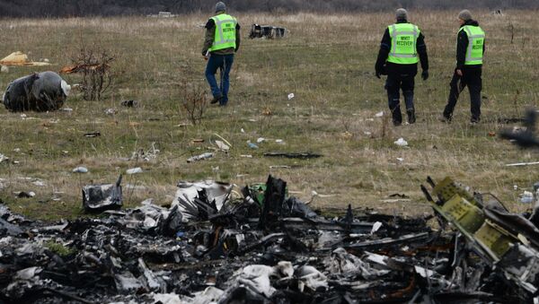 رد گزارشات مربوط به دخالت روسیه در سقوط بوئینگ MH17 مالیزیا - اسپوتنیک افغانستان  
