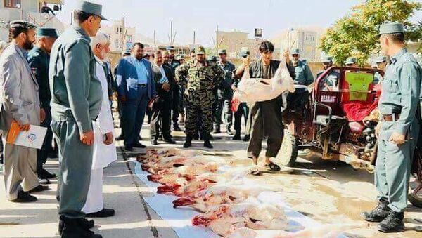 پولیس بادغیس در ده سال گذشته گوشت سگ خورده اند - اسپوتنیک افغانستان  