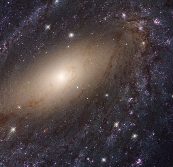 کهکشان NGC 6744 در صورت فلکی طاووس - اسپوتنیک افغانستان  