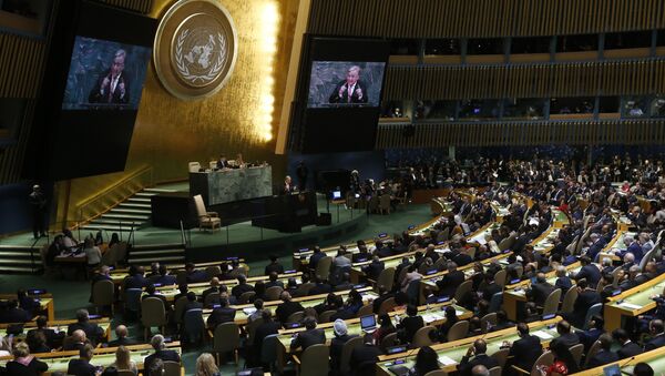افغانستان به عنوان رئیس کمیته سوم هفتادمین جلسه مجمع عمومی سازمان ملل انتخاب شد - اسپوتنیک افغانستان  
