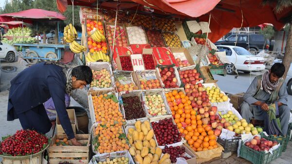 کروناویروس؛ صادرات محصولات زراعتی کشور متوقف شده است - اسپوتنیک افغانستان  