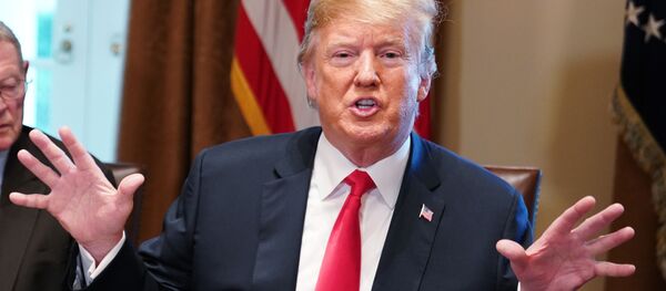 ترامپ، پوتین را به واشنگتن دعوت کرد - اسپوتنیک افغانستان  