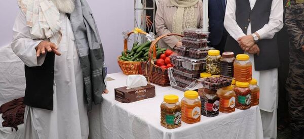 برگزاری نمایشگاه حاصلات کشت‌های بدیل کوکنار در کابل - اسپوتنیک افغانستان  