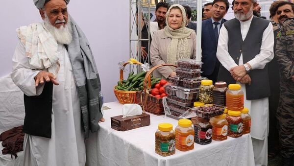 برگزاری نمایشگاه حاصلات کشت‌های بدیل کوکنار در کابل - اسپوتنیک افغانستان  