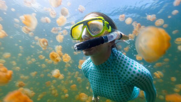 Подводное плавание в озере медуз на Палау - اسپوتنیک افغانستان  