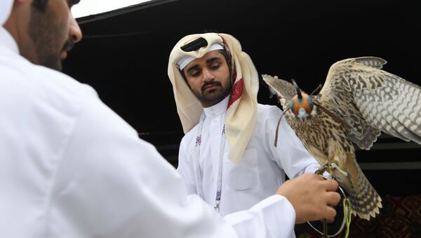 شاهزاده قطری در فراه به دنبال چیست؟ - اسپوتنیک افغانستان  