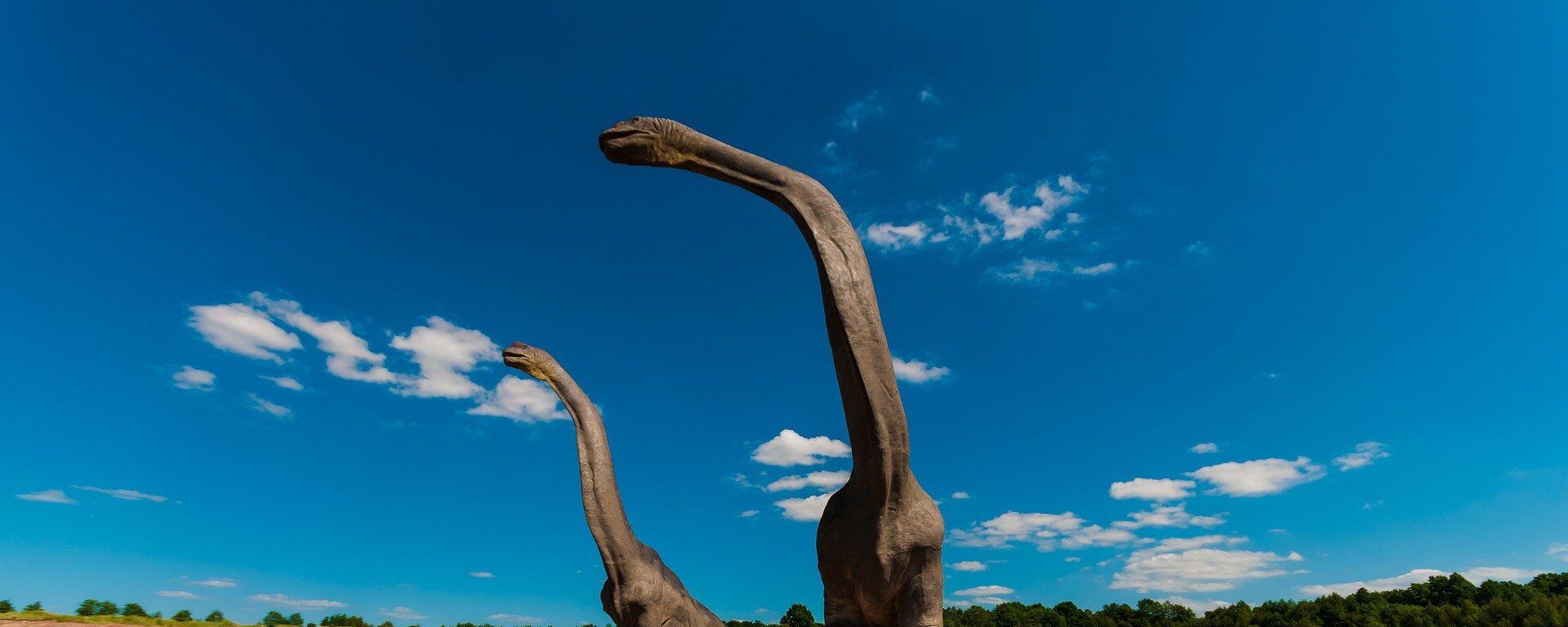 Dinosaurios (imagen referencial) - اسپوتنیک افغانستان  , 1920, 22.12.2021