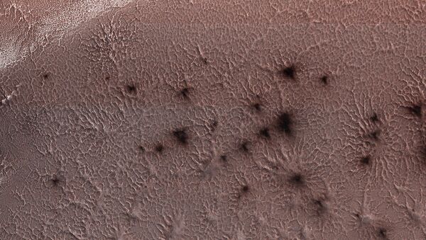 نشر تصویر عنکبوتهای در حال حرکت در سیاره مریخ - اسپوتنیک افغانستان  