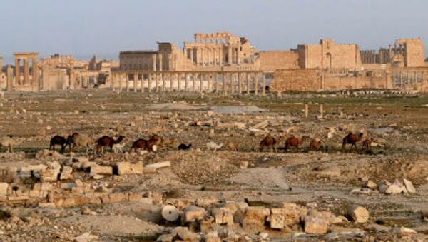 Древний оазис города Пальмира в Сирии - اسپوتنیک افغانستان  