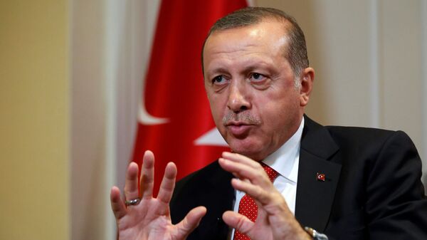 رجب طیب اردوغان، رئیس جمهور ترکیه - اسپوتنیک افغانستان  
