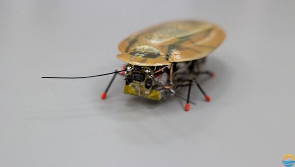 ساخت مادر کیک رباتیک برای ترمیم موتور هواپیماها - اسپوتنیک افغانستان  