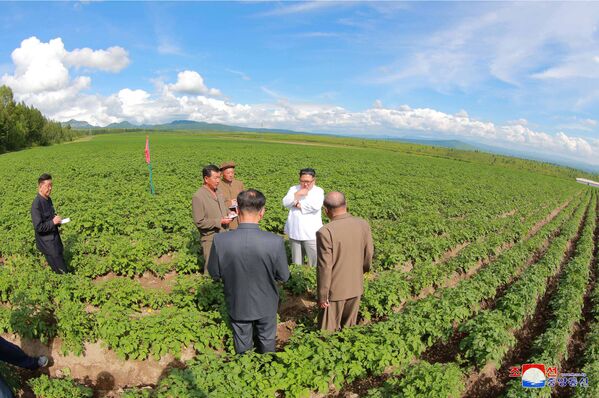 بازدید رهبر کوریای شمالی از تاسیسات عام المنفعه - اسپوتنیک افغانستان  