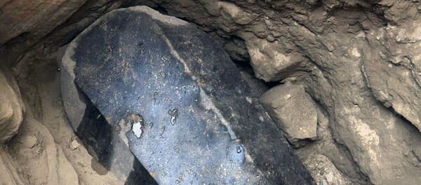 کشف رمز تابوت سیاه مصر باستان کشف رمز تابوت سیاه مصر باستان - اسپوتنیک افغانستان