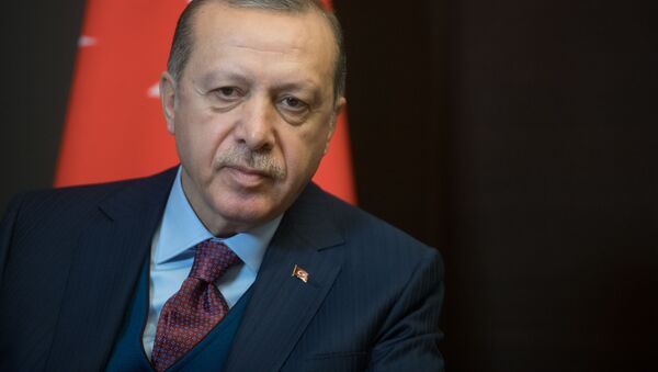 جواب اردوغان به هشدار امریکا - اسپوتنیک افغانستان  