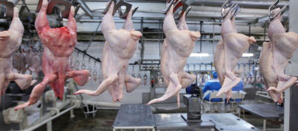 گوشت مرغ صحی و ارزان، از روسیه به بازارهای افغانستان خواهد آمد گوشت مرغ صحی و ارزان، از روسیه به بازارهای افغانستان خواهد آمد - اسپوتنیک افغانستان