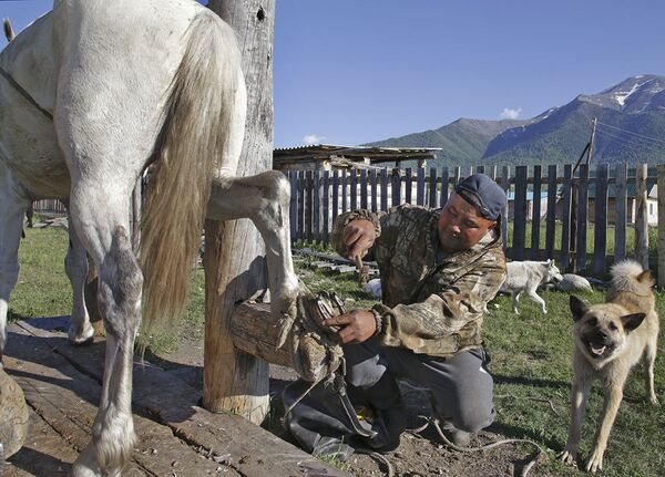 آهنگر در حال ترمیم کردن نعل اسب در قزاقستان - اسپوتنیک افغانستان  