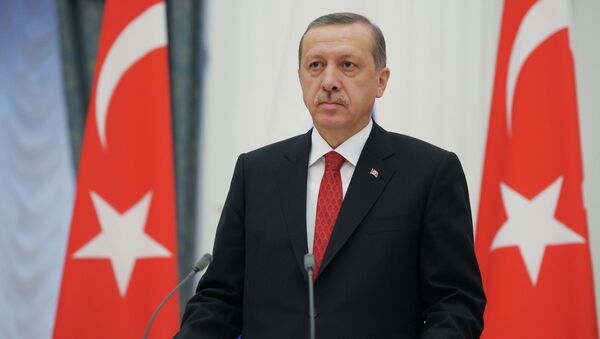 اردوغان: روسیه و ایران اهداف اصلی ما در ترکیه نیستند - اسپوتنیک افغانستان  