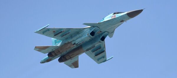 حملات نیروهای هوایی روسیه بر مواضع جبهه النصره در سوریه حملات نیروهای هوایی روسیه بر مواضع جبهه النصره در سوریه - اسپوتنیک افغانستان