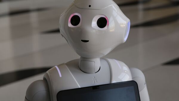 هفت شغلی که در آینده نزدیک رباتیک خواهد شد - اسپوتنیک افغانستان  