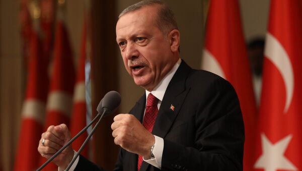 آمادگی اردوغان برای احیای حکم اعدام در ترکیه - اسپوتنیک افغانستان  
