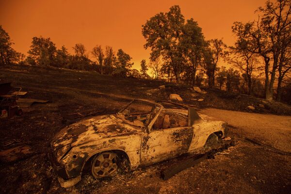 موترسوخته در جریان آتش‌سوزی در جنگل‌ در ایالت کالیفرنیا. - اسپوتنیک افغانستان  