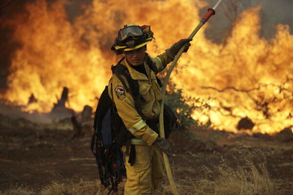 کارمند آتش‌نشانی در جریان آتش‌سوزی جنگل در کالیفرنیا. - اسپوتنیک افغانستان  