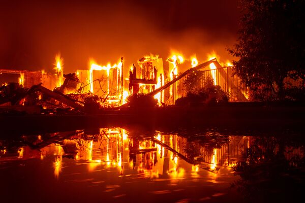خانه گرفتار در کام آتش در جریان آتش‌سوزی جنگل در کالیفرنیا. - اسپوتنیک افغانستان  