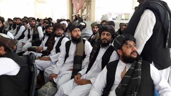 زندانیان آزاد شده حزب اسلامی افغانستان - اسپوتنیک افغانستان  
