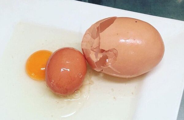 بوی تخم مرغ - اسپوتنیک افغانستان  