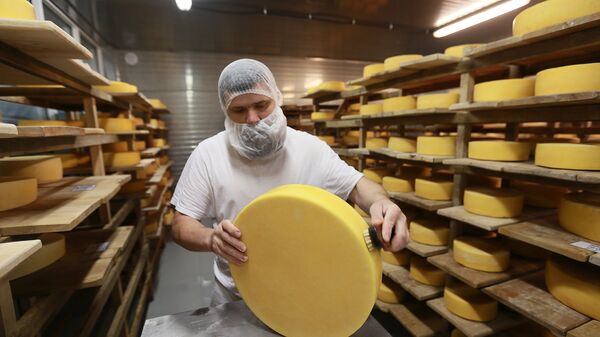 پنیر فرانسوی - اسپوتنیک افغانستان  