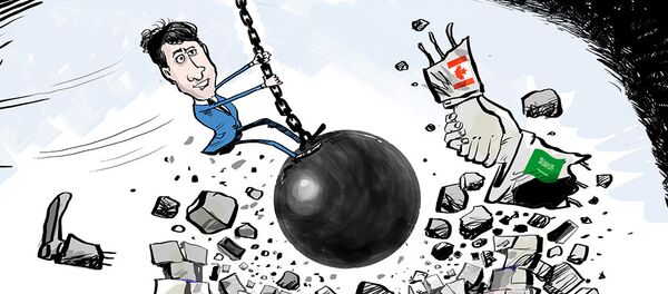 چرا رسوایی دیپلماتیک میان کانادا و عربستان رخ داد چرا رسوایی دیپلماتیک میان کانادا و عربستان رخ داد - اسپوتنیک افغانستان