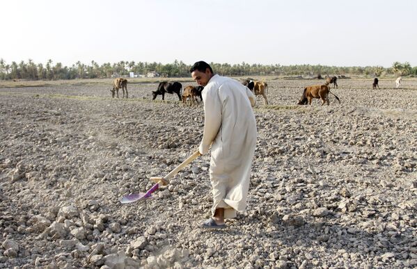 مردی مشغول کار در زمین خشک شده – عراق - اسپوتنیک افغانستان  