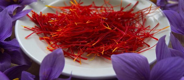 علاقمندی چین به بازار زعفران و جلغوزه افغانستان علاقمندی چین به بازار زعفران و جلغوزه افغانستان - اسپوتنیک افغانستان