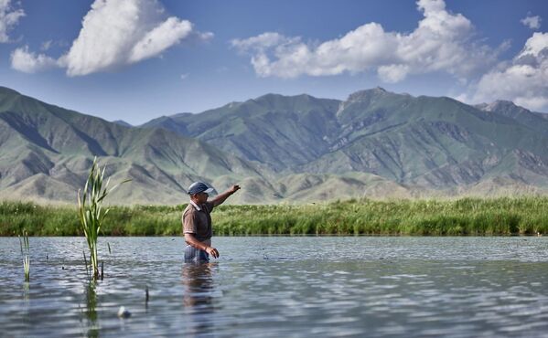 طبیعت زیبای قرقزستان - اسپوتنیک افغانستان  