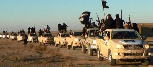 بیعت دو شاخه داعش با سرکرده جدید - اسپوتنیک افغانستان  