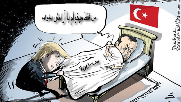 ترکیه به رفتار کابویی امریکا پاسخ میدهد - اسپوتنیک افغانستان  