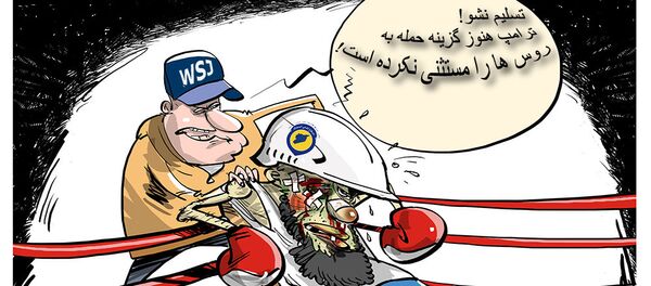 ترامپ حمله به نیروهای روسیه را در سوریه بررسی می کند - اسپوتنیک افغانستان  