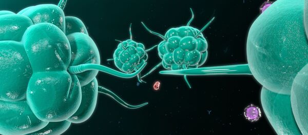 آیا انواع جدید سرطان بوجود آمده میتوانند؟  - اسپوتنیک افغانستان  