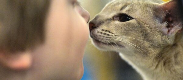 کرونا از انسان به حیوان سرایت می نماید کرونا از انسان به حیوان سرایت می نماید - اسپوتنیک افغانستان