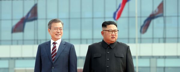 هدیه عجیب کیم جونگ اون به رئیس جمهور کوریای جنوبی+ عکس هدیه عجیب کیم جونگ اون به رئیس جمهور کوریای جنوبی+ عکس - اسپوتنیک افغانستان