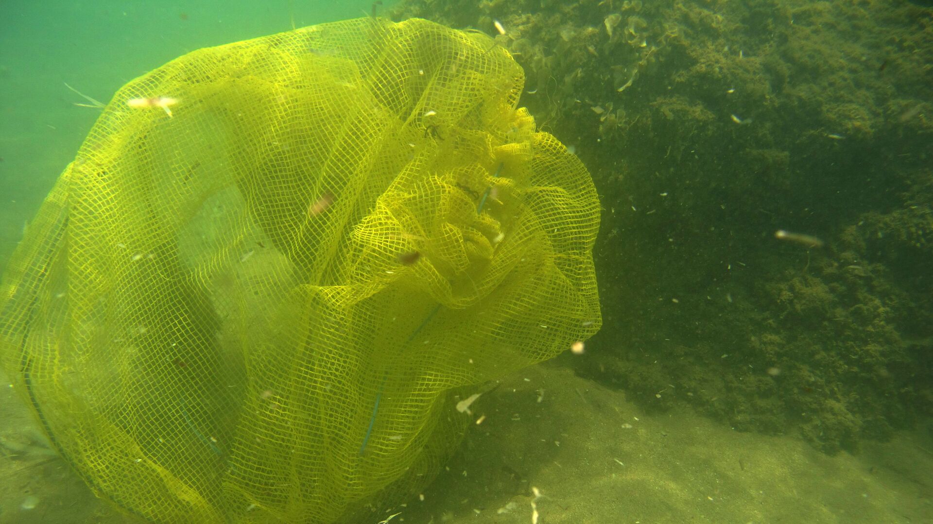 Пластиковый мусор на дне моря у берегов острова Родос - اسپوتنیک افغانستان  , 1920, 08.02.2022