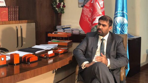 میرویس بلخی، سرپرست وزارت معارف افغانستان - اسپوتنیک افغانستان  