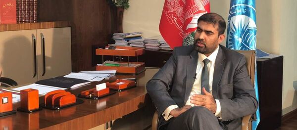 میرویس بلخی، سرپرست وزارت معارف افغانستان میرویس بلخی، سرپرست وزارت معارف افغانستان - اسپوتنیک افغانستان