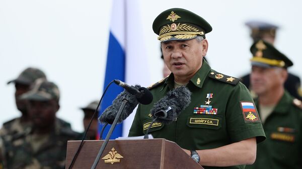Министр обороны Российской Федерации генерал армии Сергей Шойгу - اسپوتنیک افغانستان  