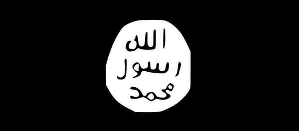 دستگیری 26 داعشی در کابل دستگیری 26 داعشی در کابل - اسپوتنیک افغانستان